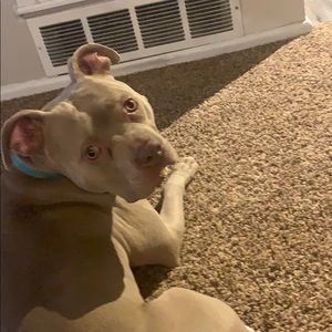 Meet your Posher, Clay